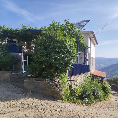 Casal de LoivosEncosta Do Pinhao别墅 外观 照片