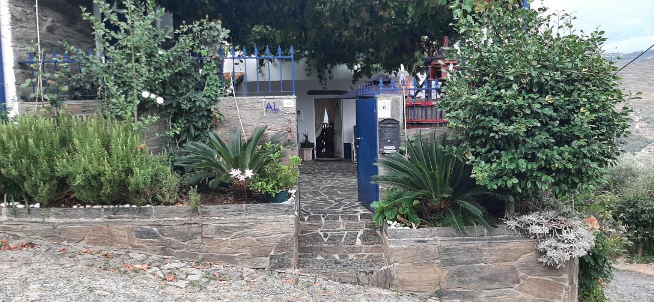 Casal de LoivosEncosta Do Pinhao别墅 外观 照片