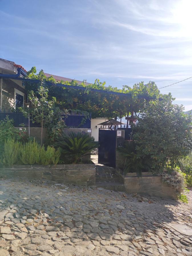 Casal de LoivosEncosta Do Pinhao别墅 外观 照片
