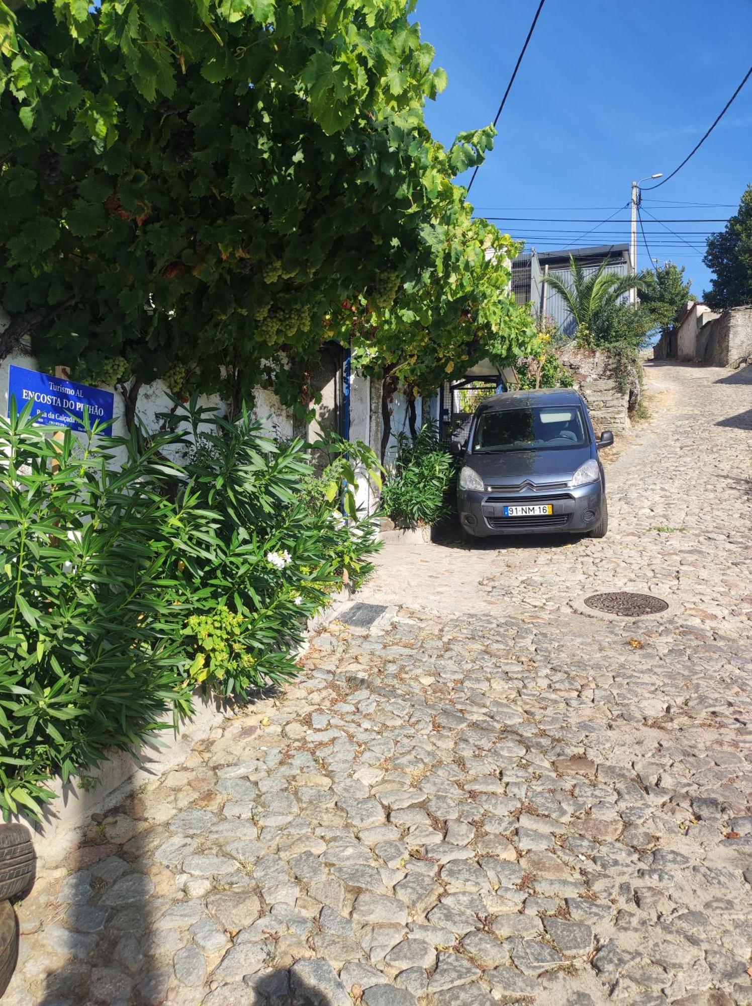 Casal de LoivosEncosta Do Pinhao别墅 外观 照片